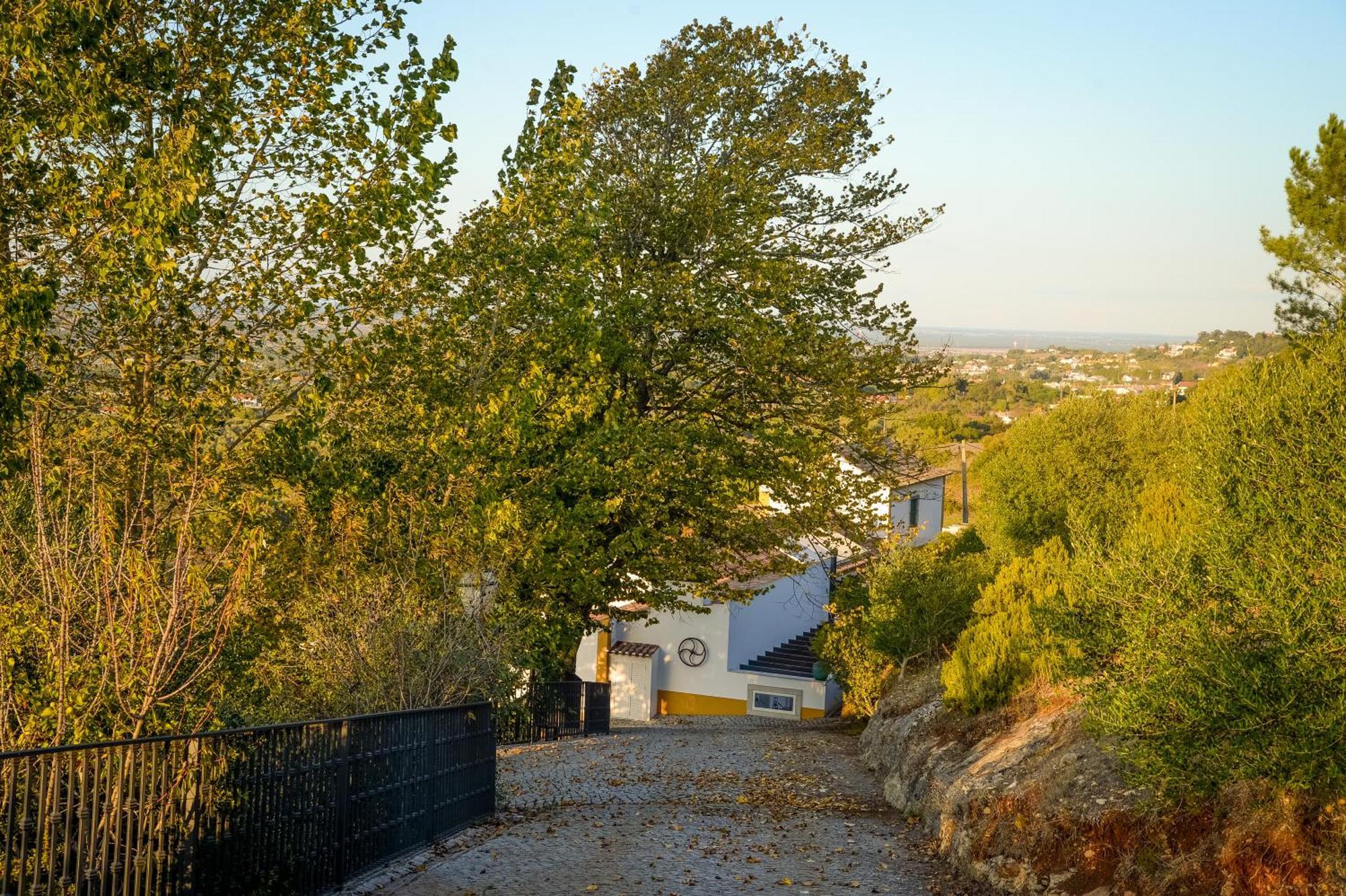 Maison d'hôtes Quinta do Louro à Palmela Extérieur photo